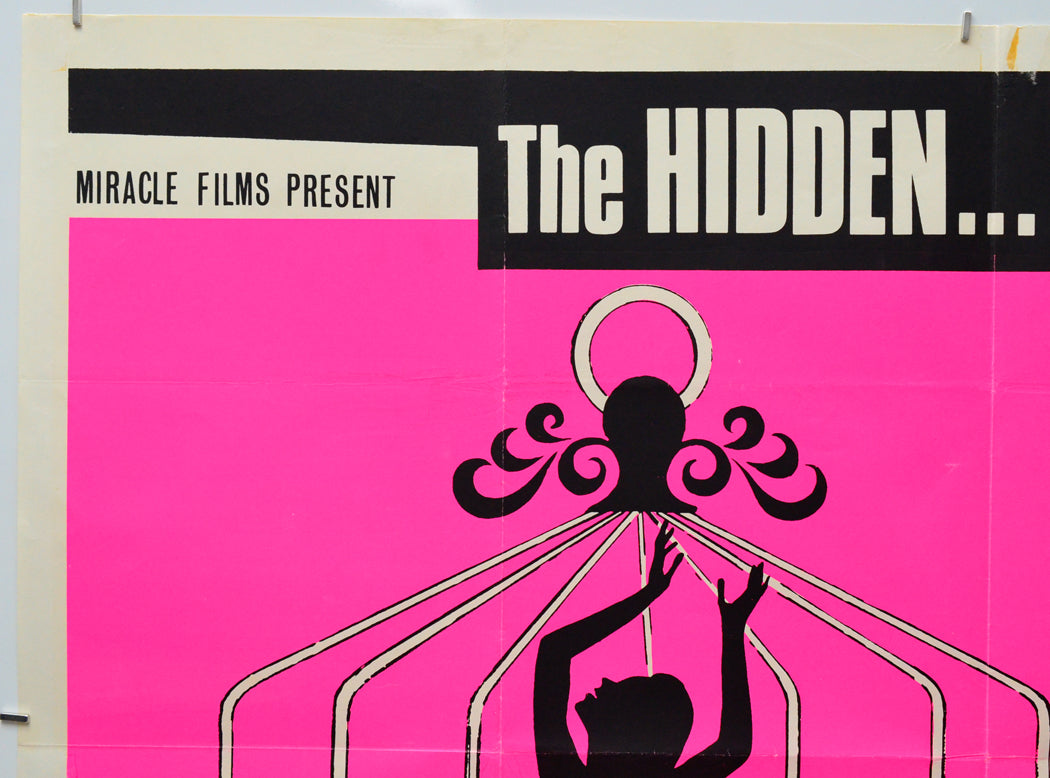The Mystery And The Pleasure (Top Left) Cinema Quad Movie Poster 