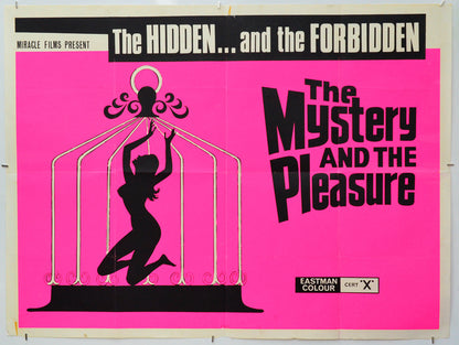 The Mystery And The Pleasure - Original Quad Poster - Film Poster - Movie Poster