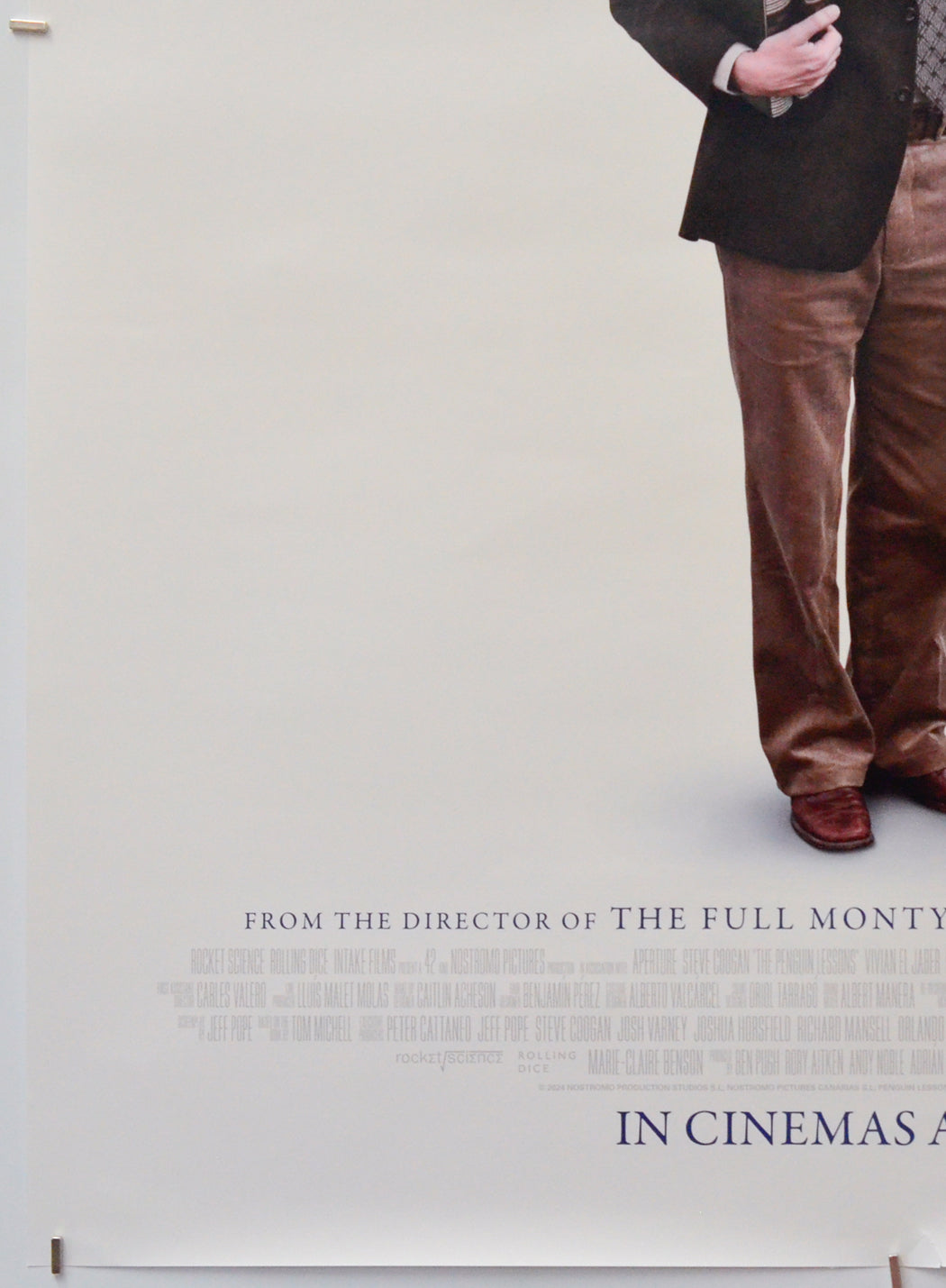 The Penguin Lessons (Bottom Left) Cinema One Sheet Movie Poster 