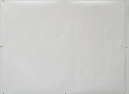 The Penguin Lessons (Back) Cinema Quad Movie Poster 