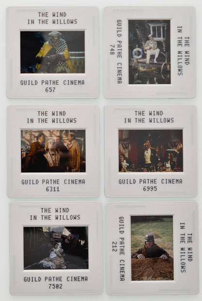 The Wind In The Willows - Original 35mm Slides - Cinema Press Slides