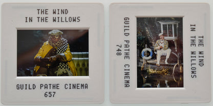 The Wind In The Willows (Slides 1 and 2) Original 35mm Slides - Cinema Press Slides