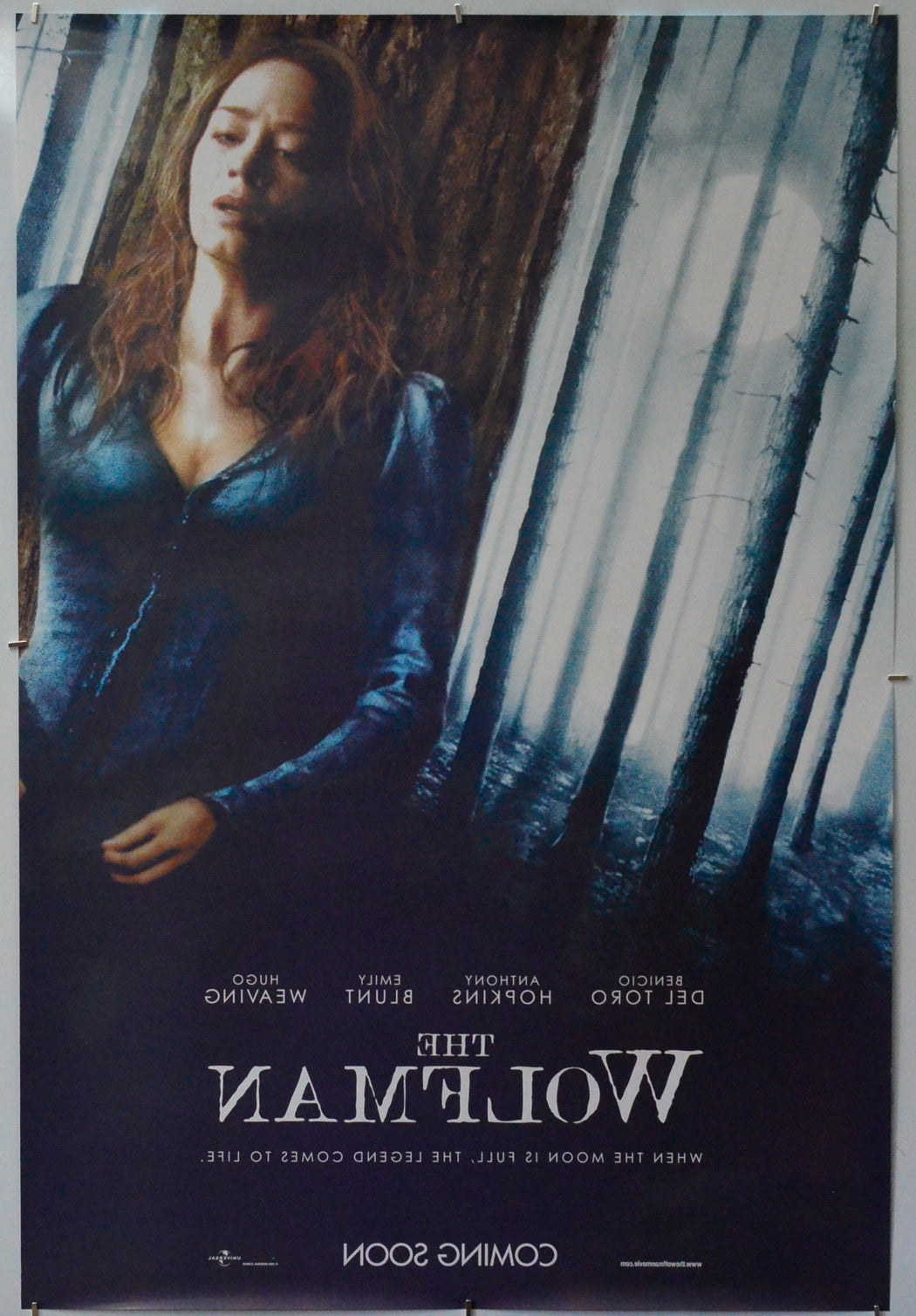 The Wolfman (Back) Cinema One Sheet Movie Poster 