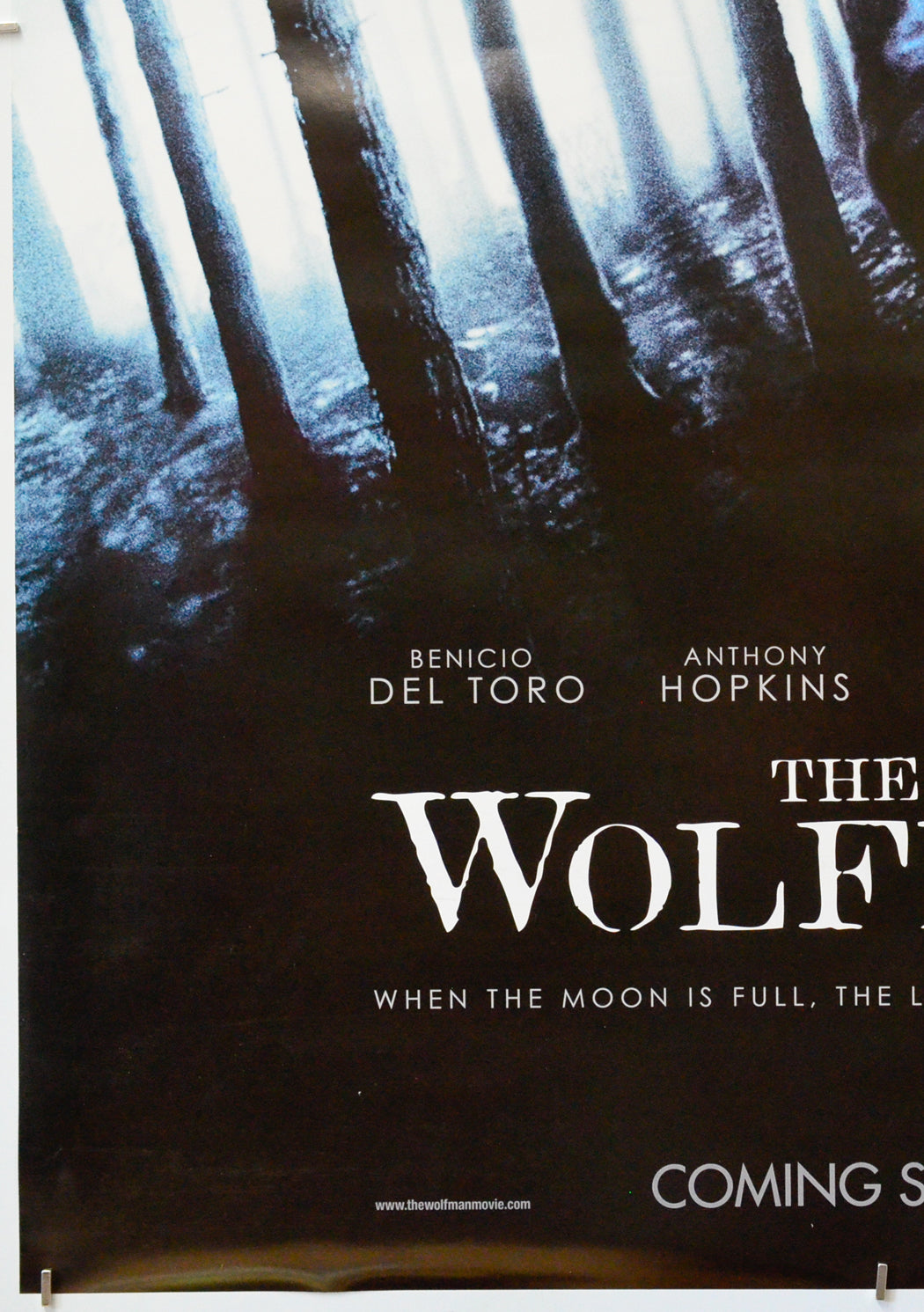 The Wolfman (Bottom Right) Cinema One Sheet Movie Poster 