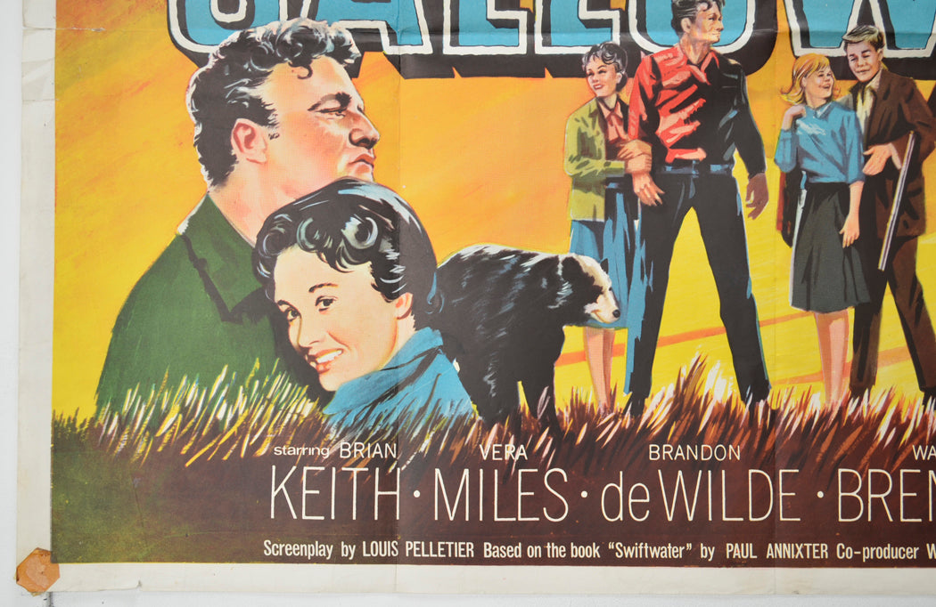 THOSE CALLOWAYS (Bottom Left) Cinema Quad Movie Poster 