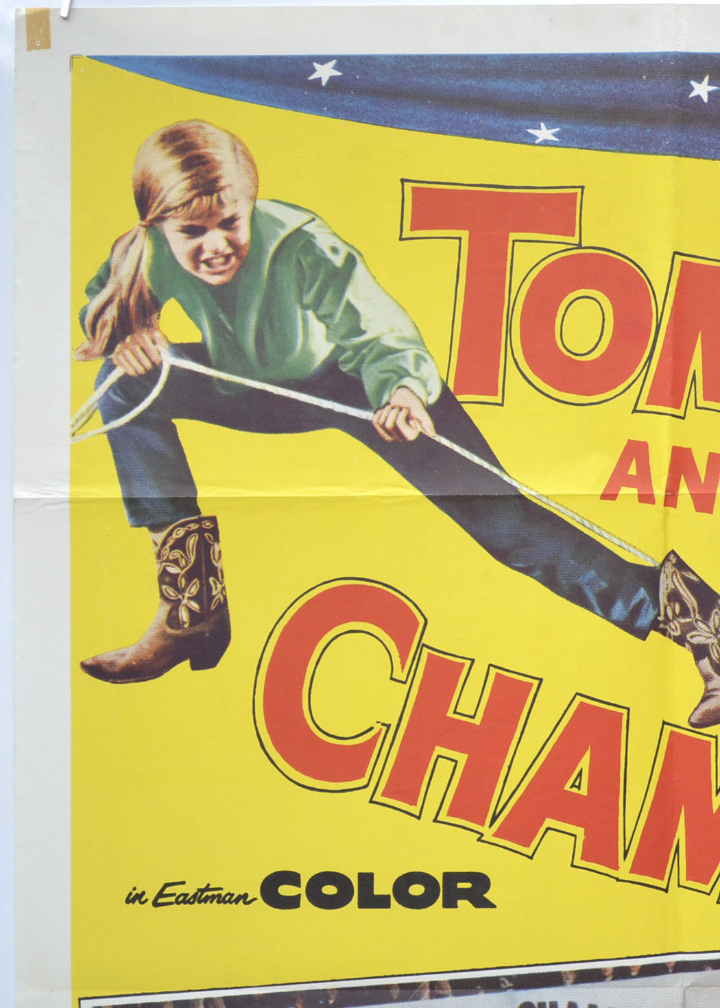 TOMBOY AND THE CHAMP (Top Left) Cinema One Sheet Movie Poster 