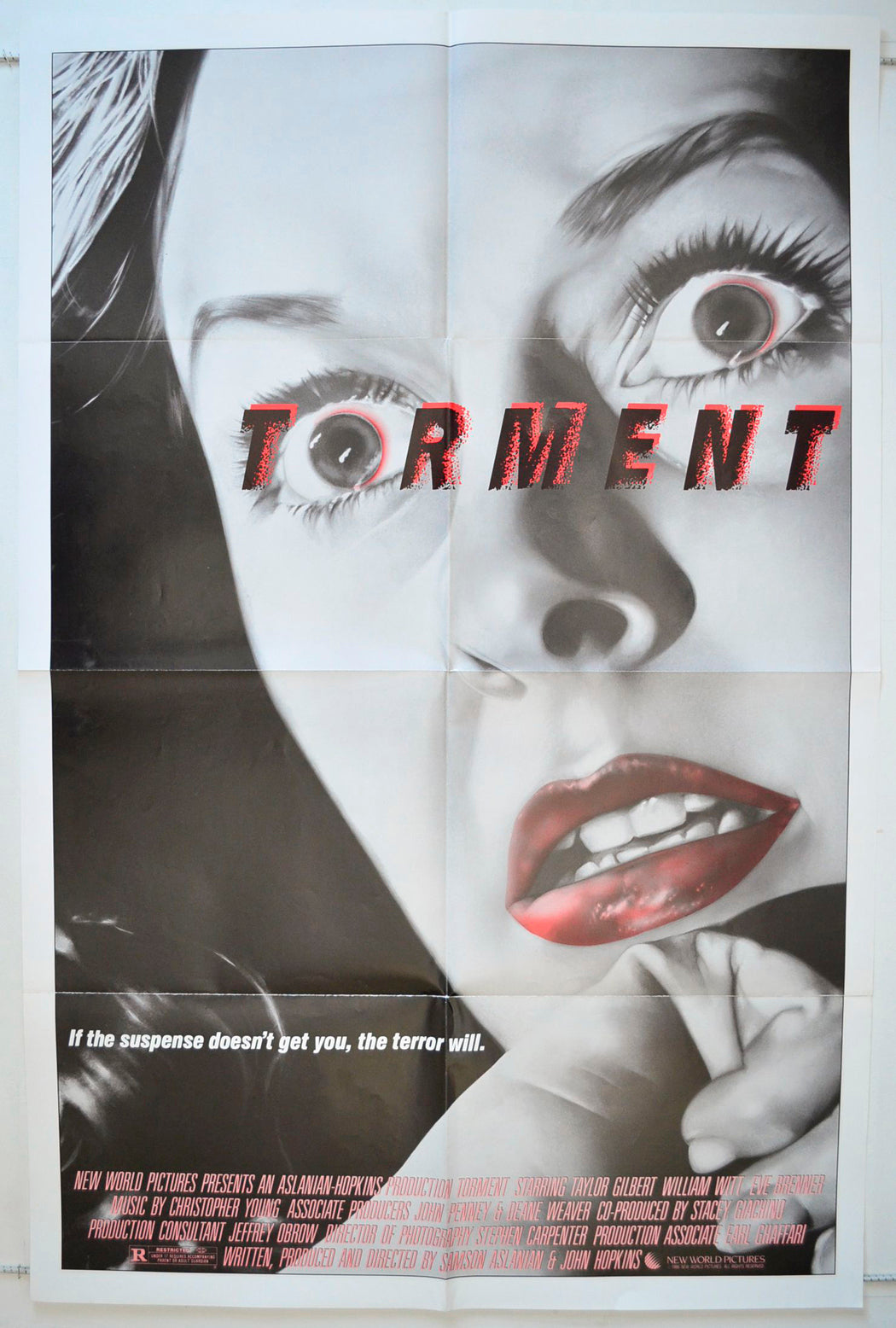 “Torment” Original One Sheet Poster - Movie Poster – pastposters