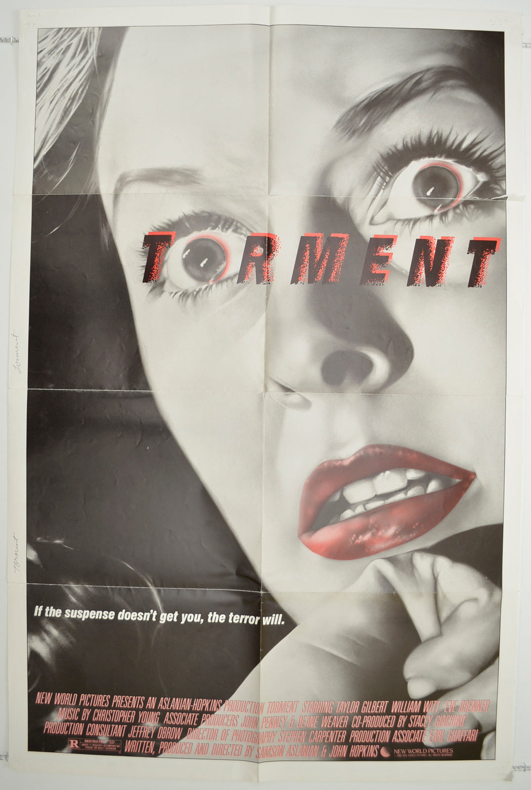 Torment  Original One Sheet Poster - Film Poster - Movie Poster 