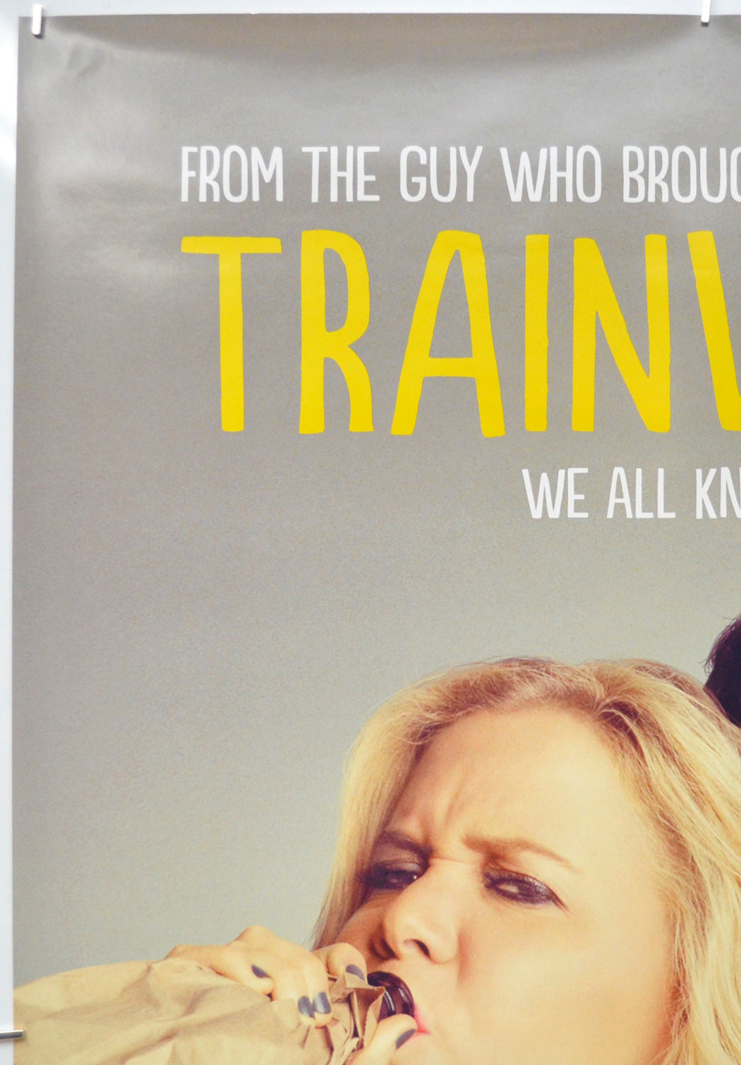 TRAINWRECK (Top Left) Cinema One Sheet Movie Poster 