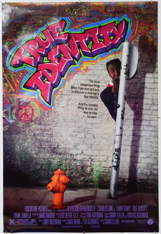 True Identity - Original One Sheet Poster - Film Poster - Movie Poster 