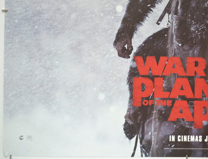 WAR FOR THE PLANET OF THE APES (Bottom Left) Cinema Quad Movie Poster 