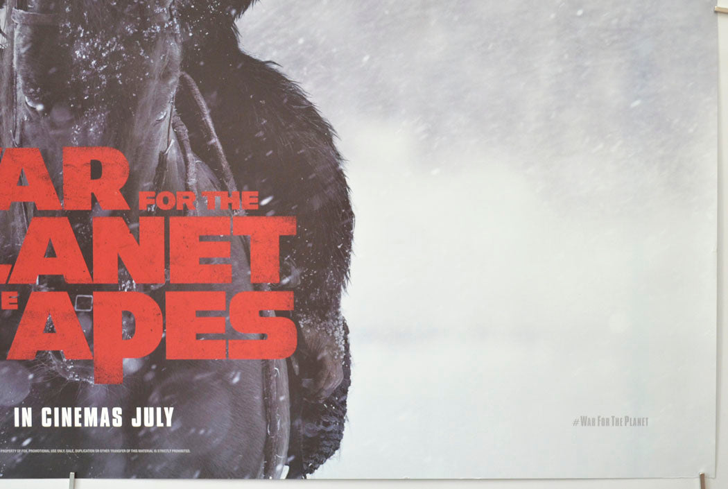 WAR FOR THE PLANET OF THE APES (Bottom Right) Cinema Quad Movie Poster 