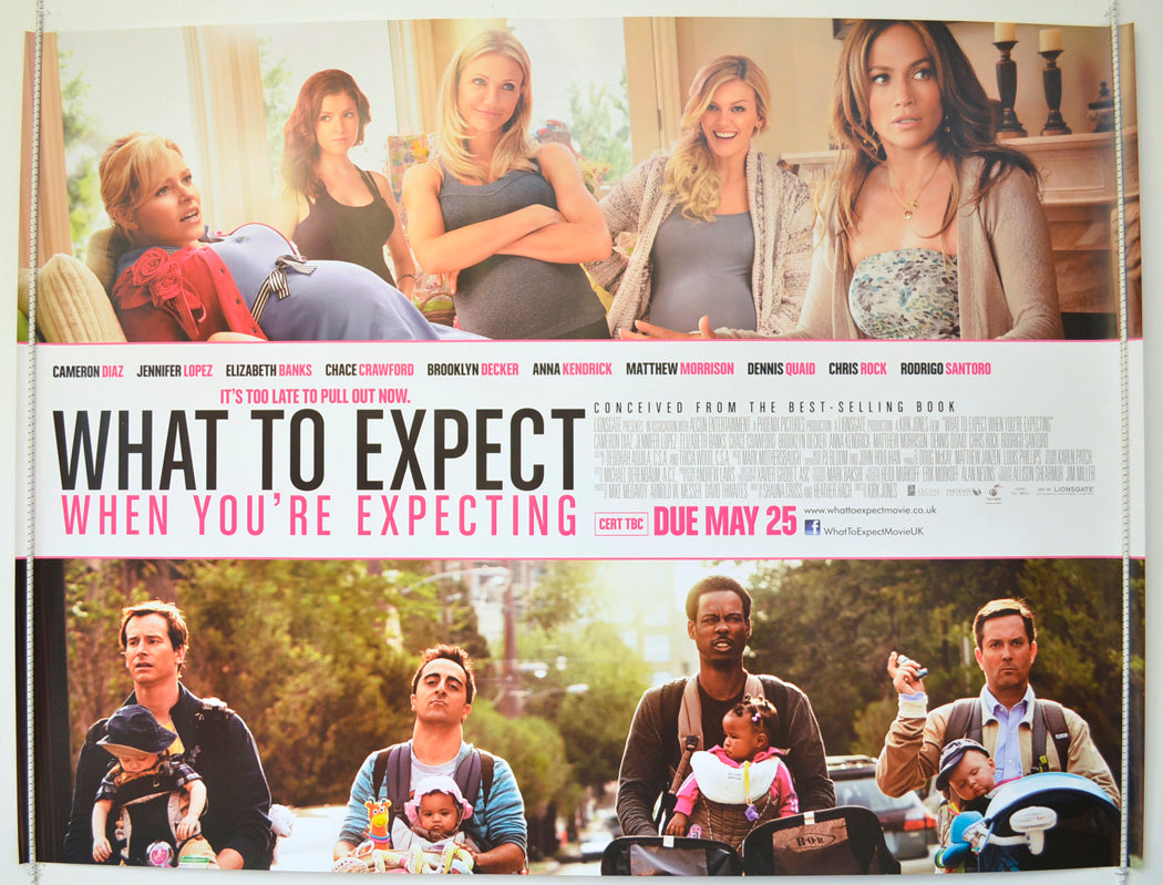 What To Expect When You're Expecting  Original British Quad Poster - Film Poster - Movie Poster 