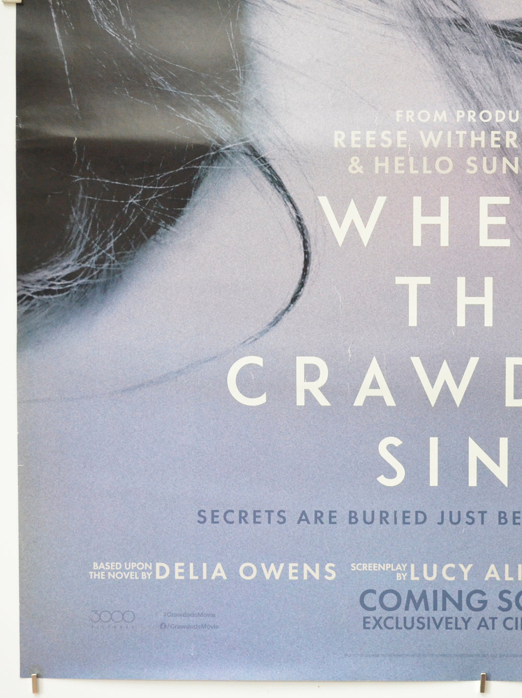 WHERE THE CRAWDADS SING (Bottom Left) Cinema One Sheet Movie Poster 