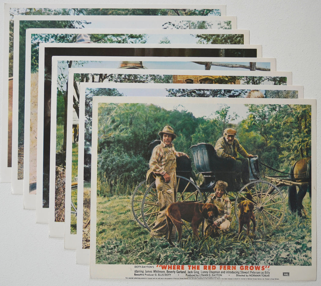 WHERE THE RED FERN GROWS (Full View) Cinema Set of Colour FOH Stills / Lobby Cards  