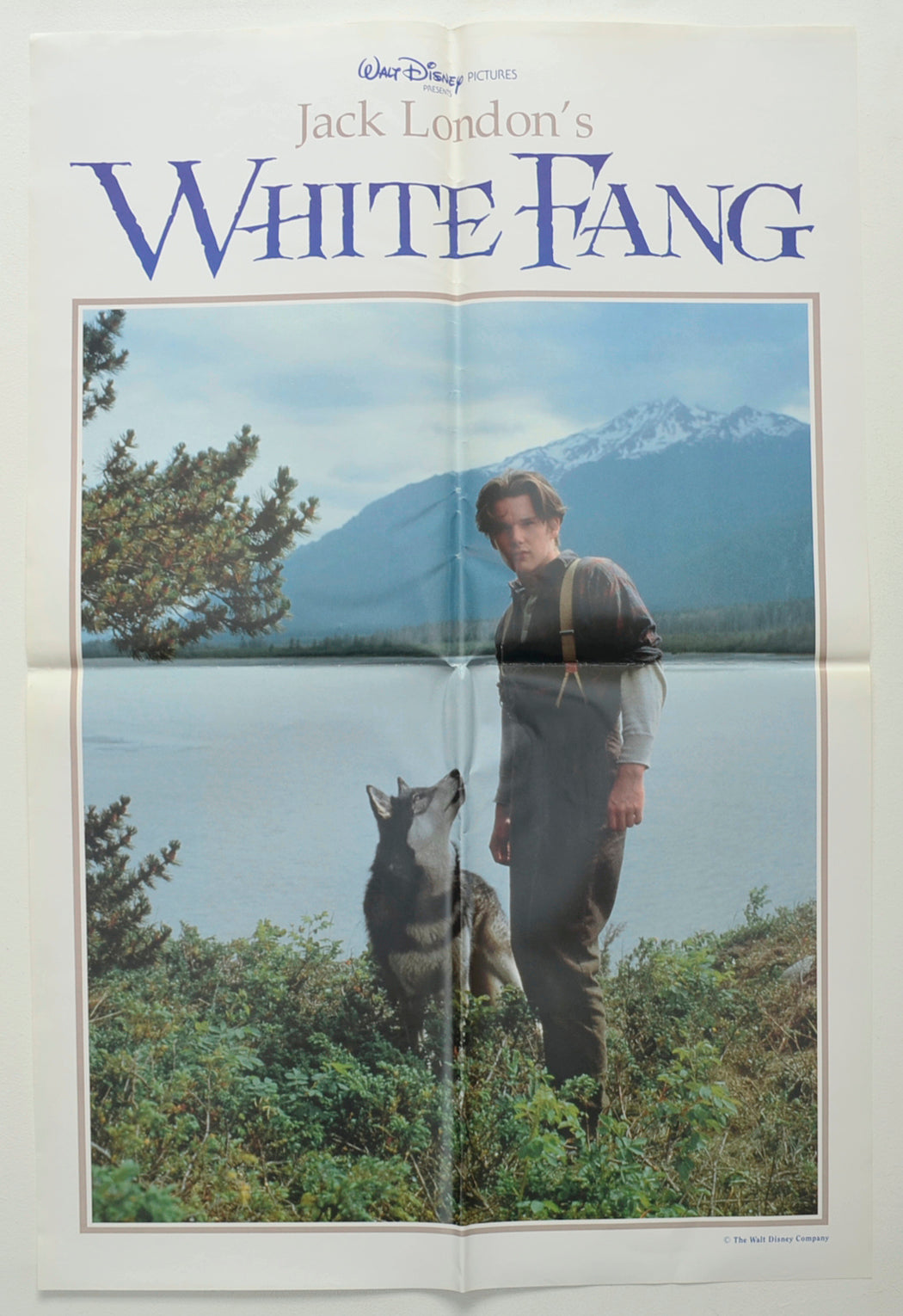 White Fang  (Double Crown Poster – Design 1)   Original Double Crown Poster - Film Poster - Movie Poster  