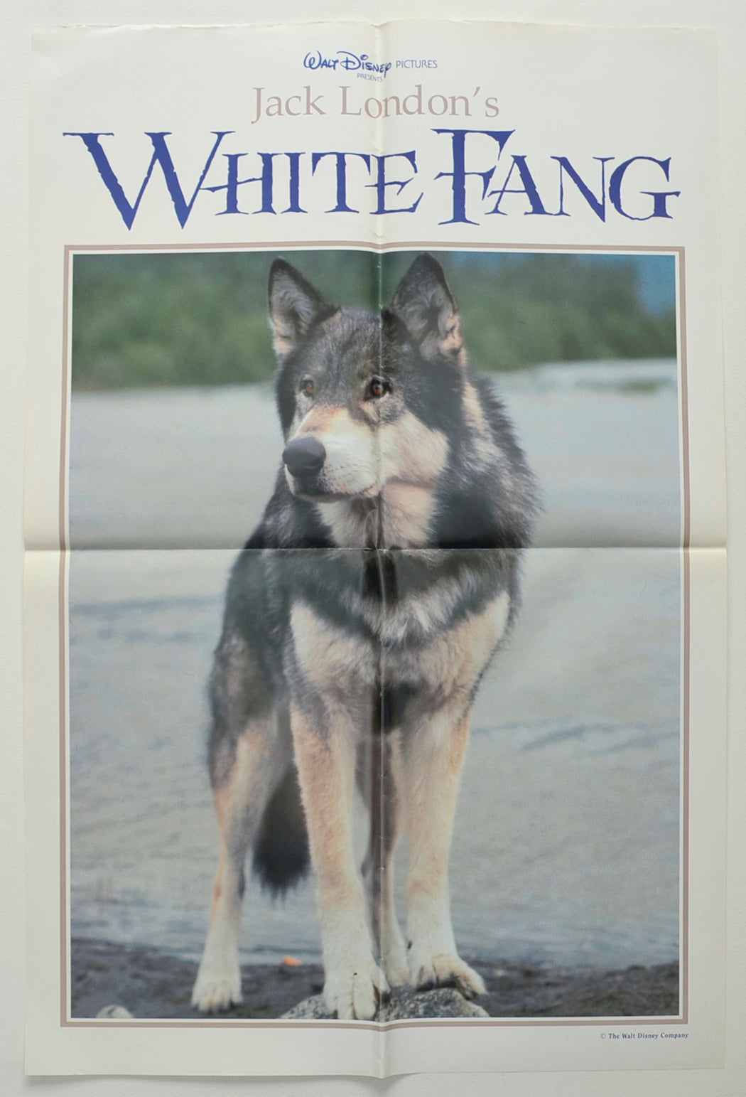 White Fang  (Double Crown Poster – Design 2)   Original Double Crown Poster - Film Poster - Movie Poster  