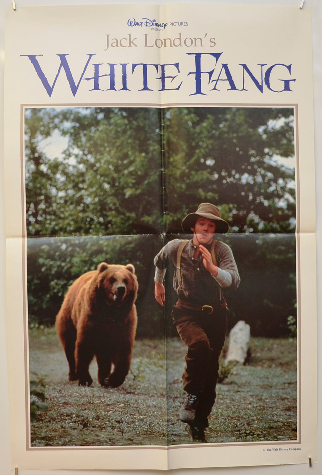 White Fang (Double Crown Poster – Design 4)  Original Double Crown Poster - Film Poster - Movie Poster