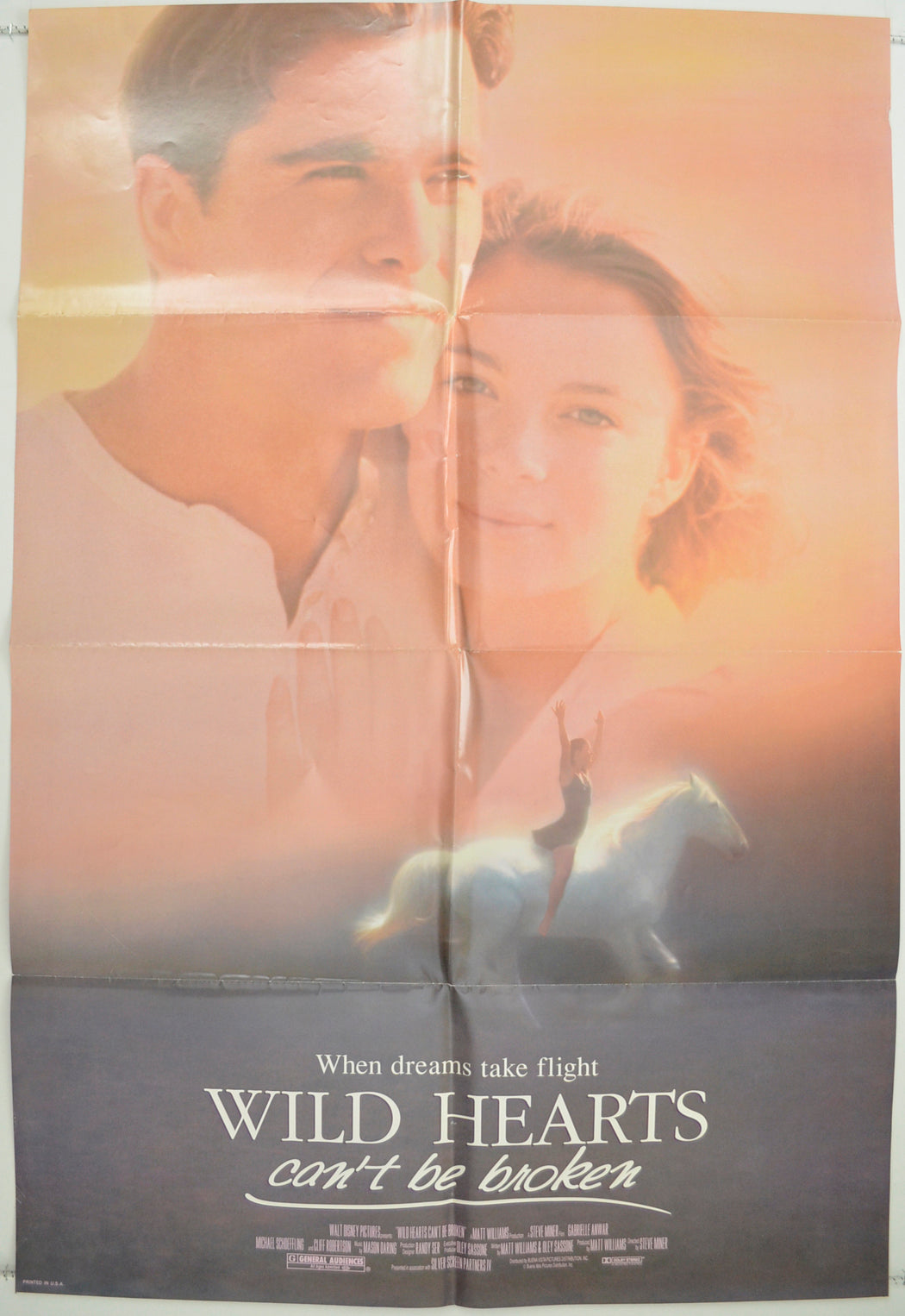 Wild Hearts Can't Be Broken  Original One Sheet Poster - Film Poster - Movie Poster 