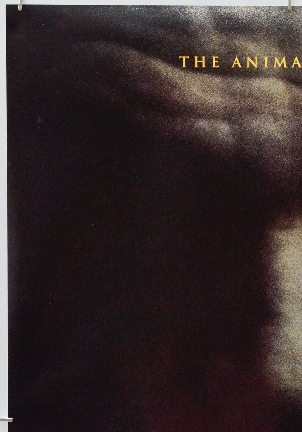 Wolf (Top Left) Cinema One Sheet Movie Poster 