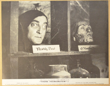 YOUNG FRANKENSTEIN (Card 2) Cinema Set of Black and White FOH Stills / Lobby Cards 